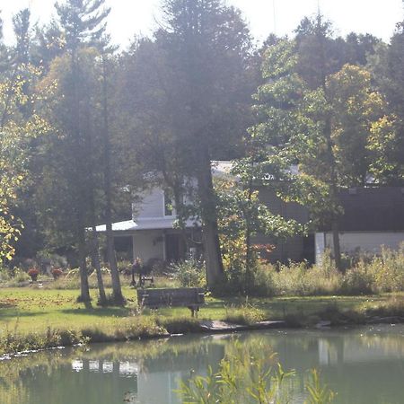 Rising Spirit Bed & Breakfast & Yoga Bed & Breakfast Orono Exterior photo